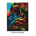 Scratch Art National Wild Life Part 1 - Proboscis Monkey