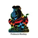 Scratch Art Wild Animal Deco Stand - Proboscis Monkey