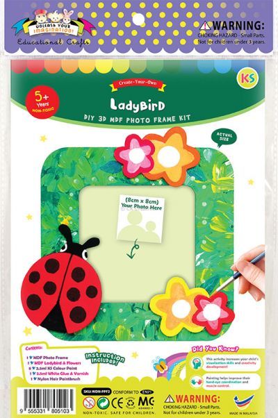 DIY 3D Photo Frame Kit - Ladybird - Packaging Front