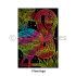 Tangle Scratch Art - Fabulous Bird Kit - Flamingo