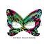Scratch Art Girls' Mask - Monarch Butterfly