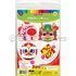 Chinese New Year Deco Magnet Kit - Pack of 4 - Packaging Front