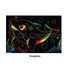 Scratch Art Sealife Kit - DolphinScratch Art Sealife Kit - Contents